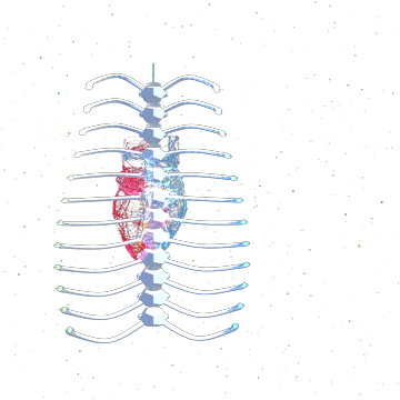 Model 1, the body